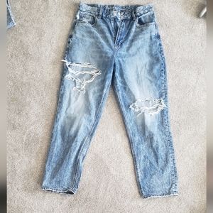 American Eagle Curvy Mom Jeans